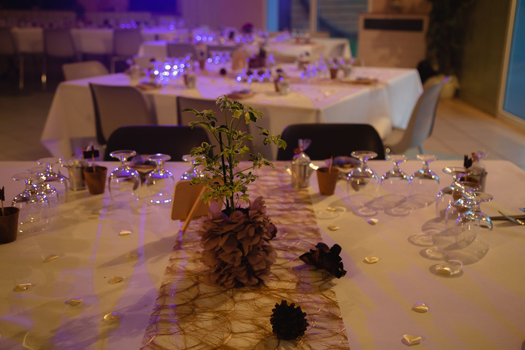 Décor de la table - Mariage d'hiver à Bitche