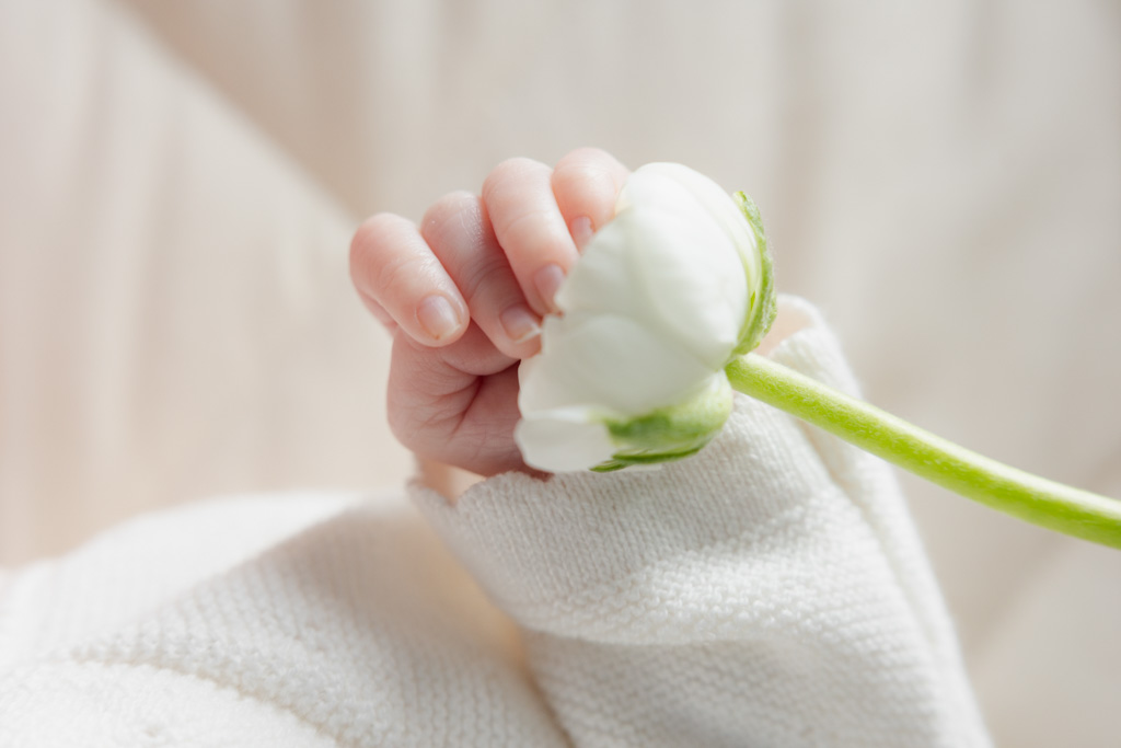 Main d’un bébé touchant une fleur, photo macro d’un détail de naissance à domicile à Paris