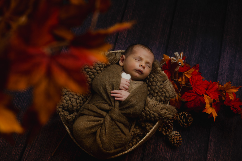 Nouveau-né emmailloté dans un panier décor automne, studio Saint-Maur